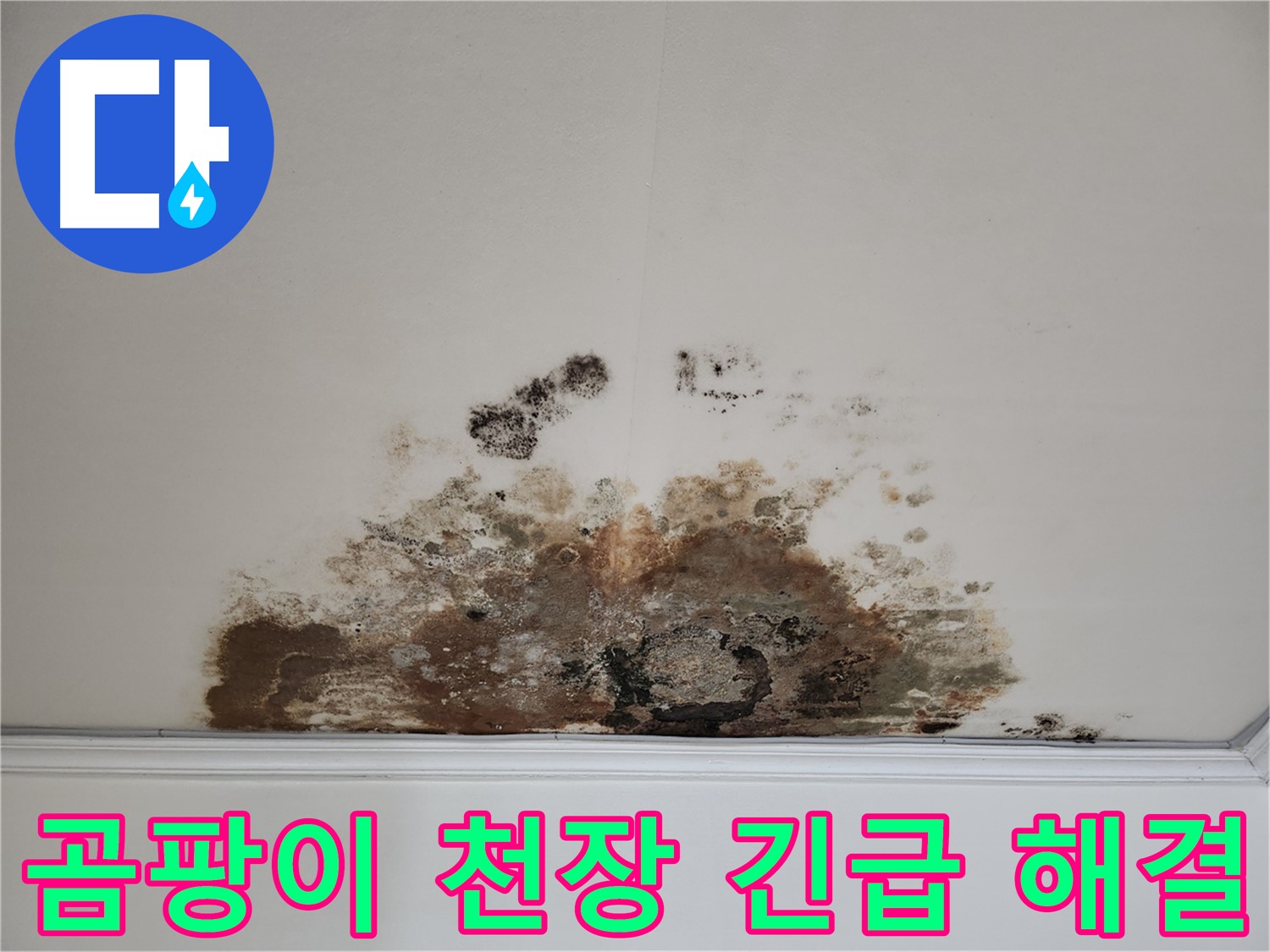 마포구 용강동 천장 누수 - 곰팡이 폭탄 긴급 해결 작전