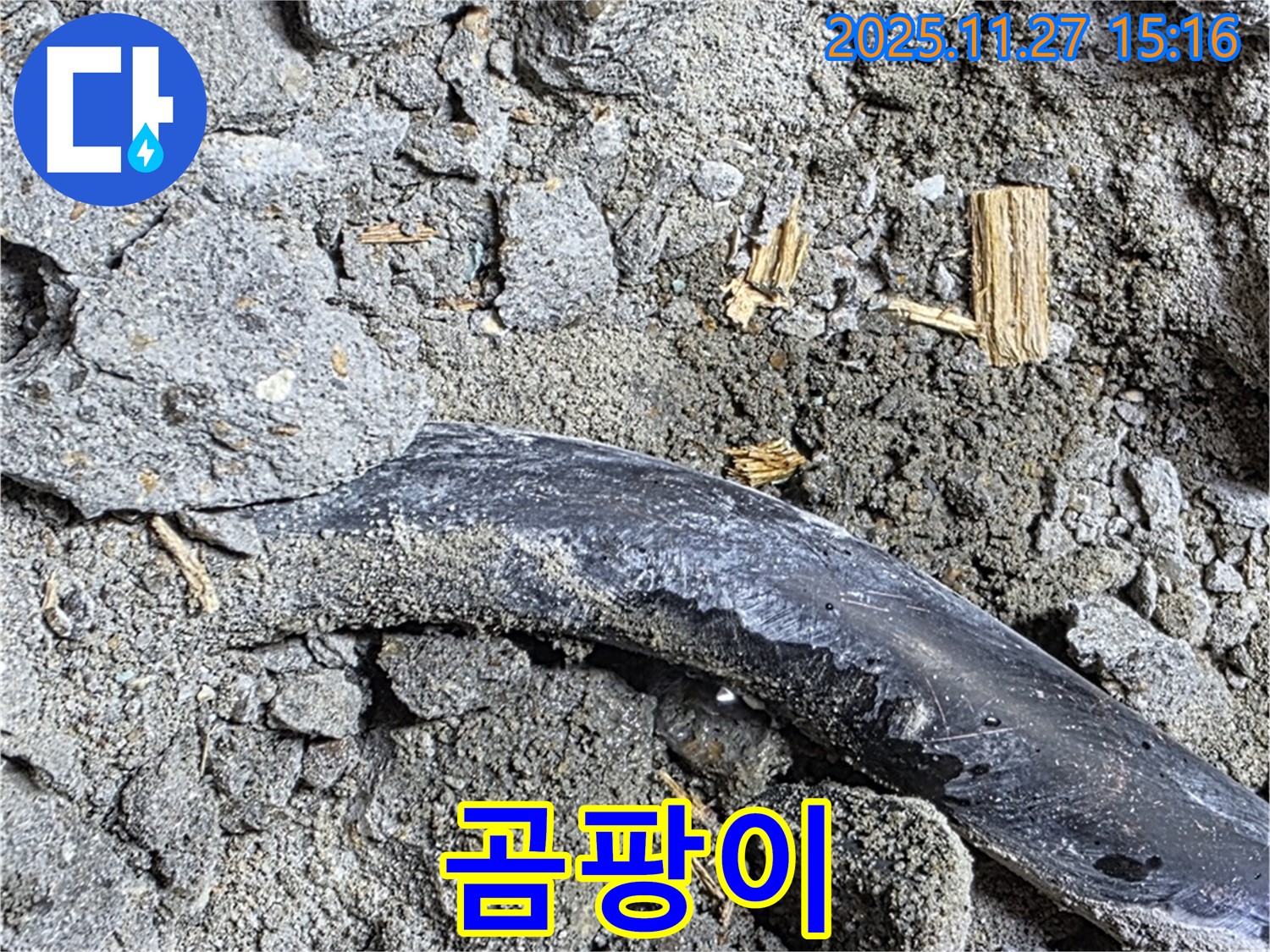 마포구 용강동 현대홈타운 - 곰팡이 핀 콘크리트 - 누수 진행 중 의심