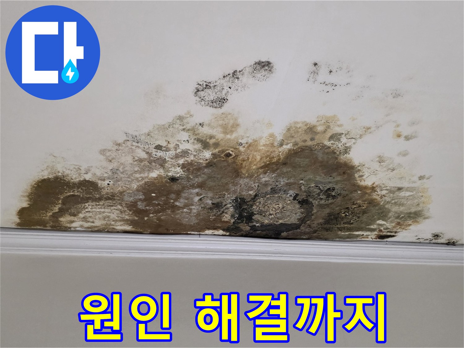마포구 용강동 현대홈타운 아파트 - 곰팡이 천장 문제 - 원인부터 해결까지 책임 시공