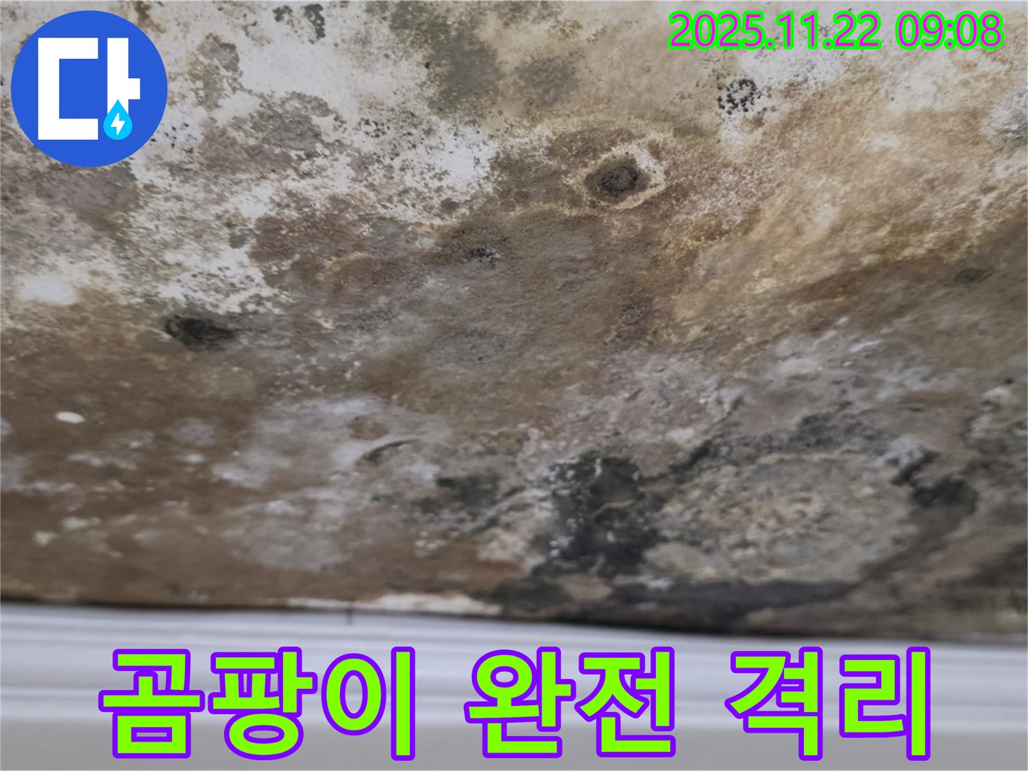 마포구 현대홈타운 - 곰팡이 완전 격리, 뽀송뽀송한 공간으로 힐링!
