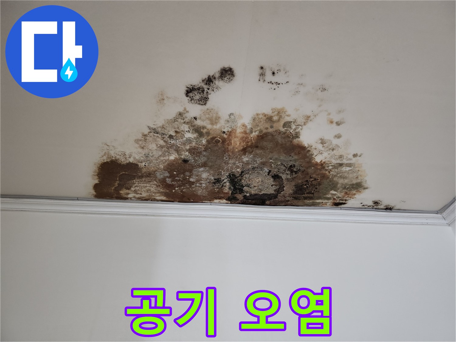 용강동 누수 - 곰팡이로 인한 공기 오염