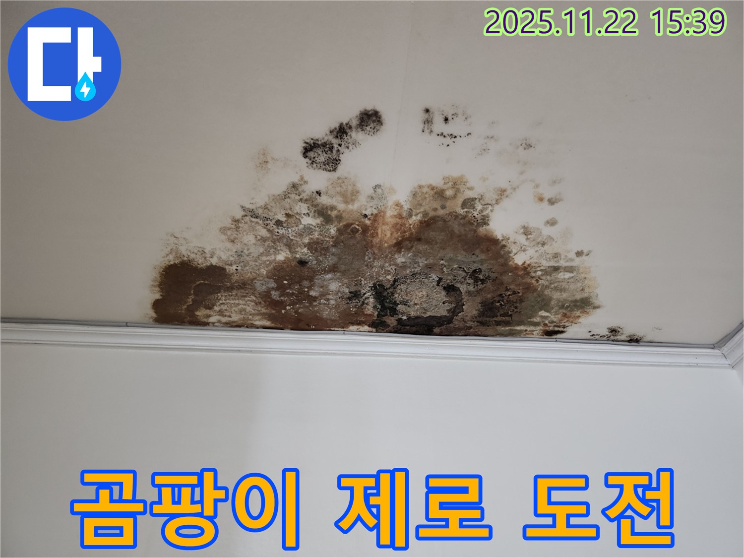 용강동 새창로8길 누수 - 곰팡이 제로 도전, 깨끗한 우리 집 되찾기