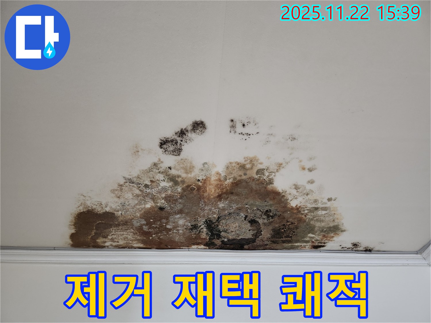 용강동 아파트 - 곰팡이 천장, 곰팡이 제거로 쾌적한 환경에서 편안한 재택근무를