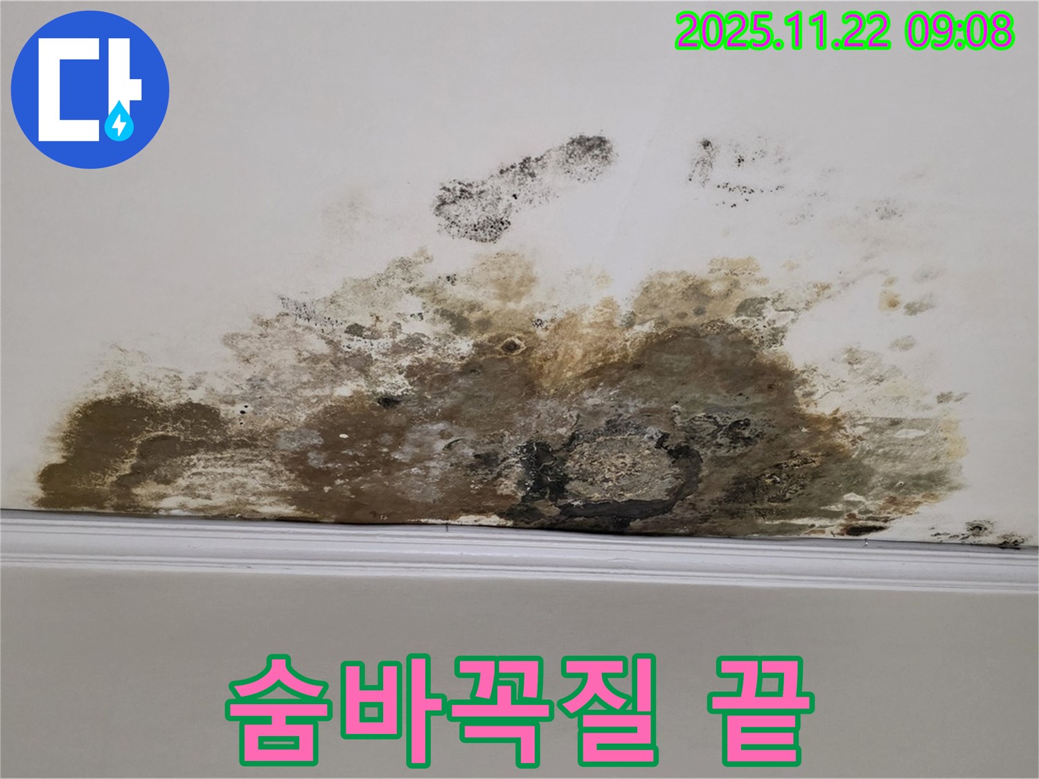 용강동 아파트 누수 - 곰팡이와의 숨바꼭질 끝, 쾌적한 공간에서 꿀잠 예약!