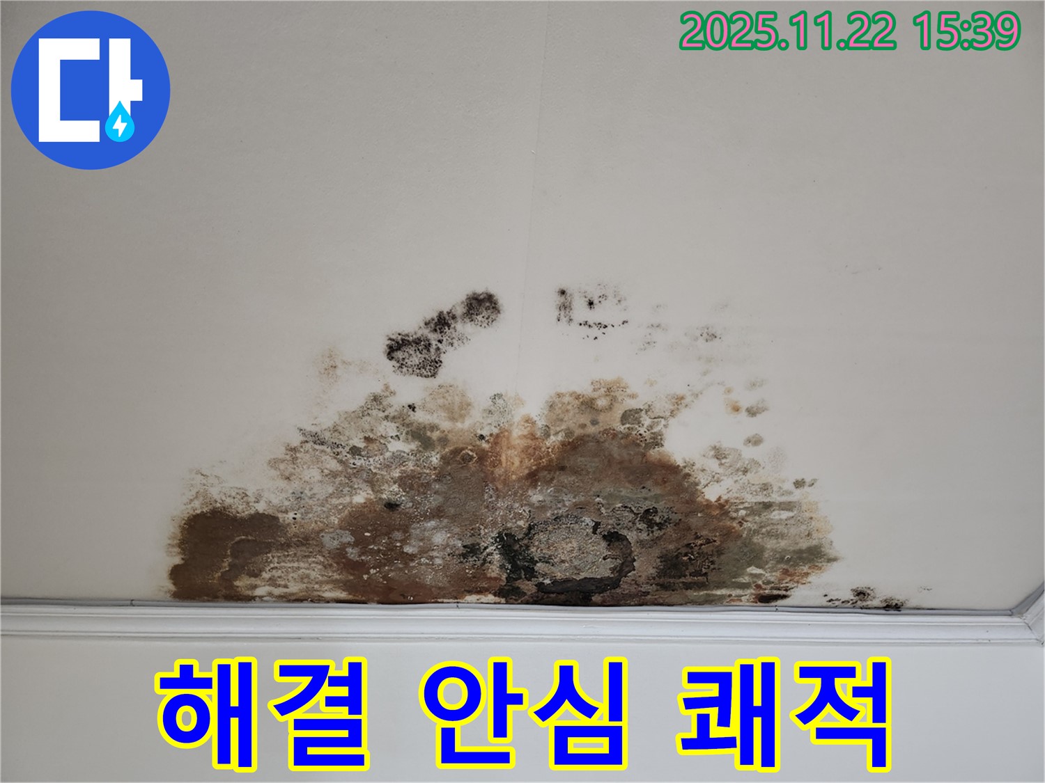 용강동 현대홈타운 아파트 - 곰팡이 천장, 완벽 해결! 안심하고 쾌적하게!