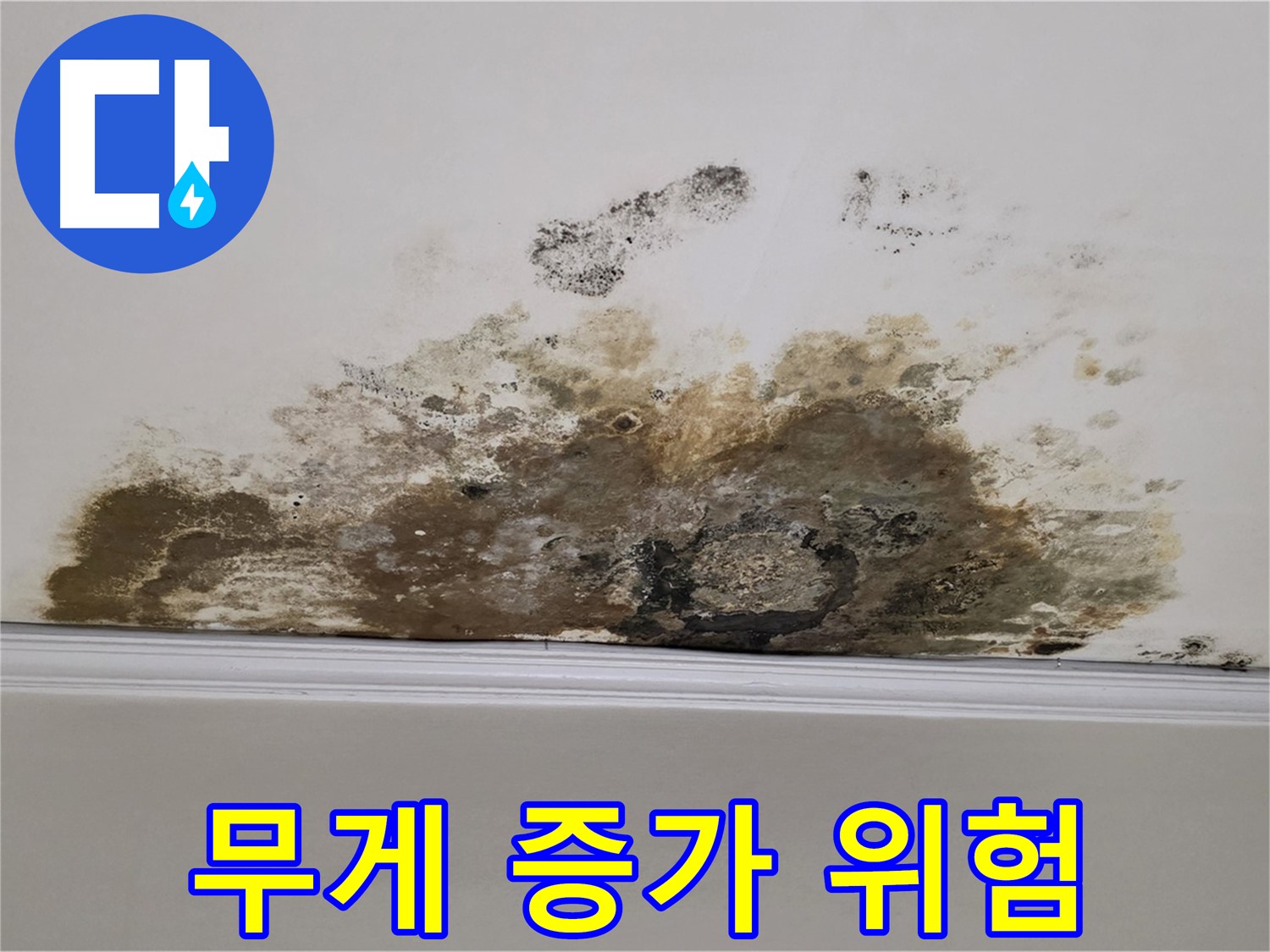 용강동 현대홈타운 아파트 누수 - 곰팡이 - 곰팡이 - 천장 무게 증가 - 붕괴 위험 증가
