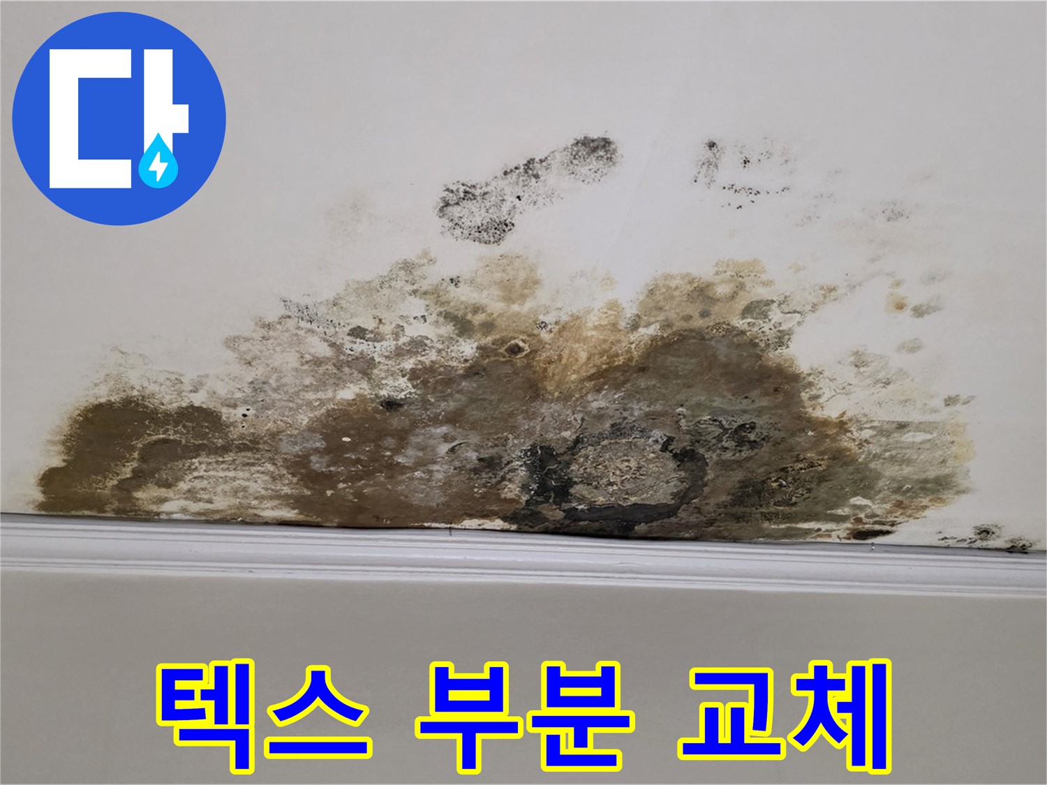 용강동 현대홈타운 아파트 누수 - 곰팡이로 인한 천장 텍스 오염 - 부분 교체로 깔끔하게