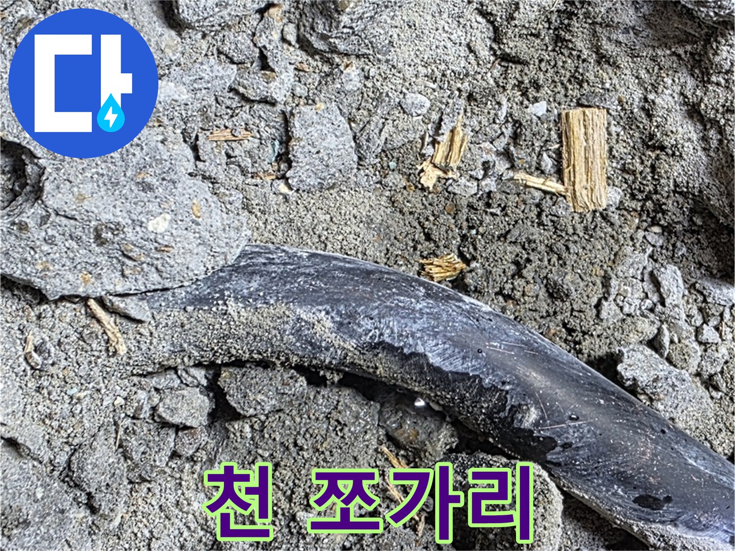 용강동 현대홈타운 - 천 쪼가리 - 습기 머금고 곰팡이 서식