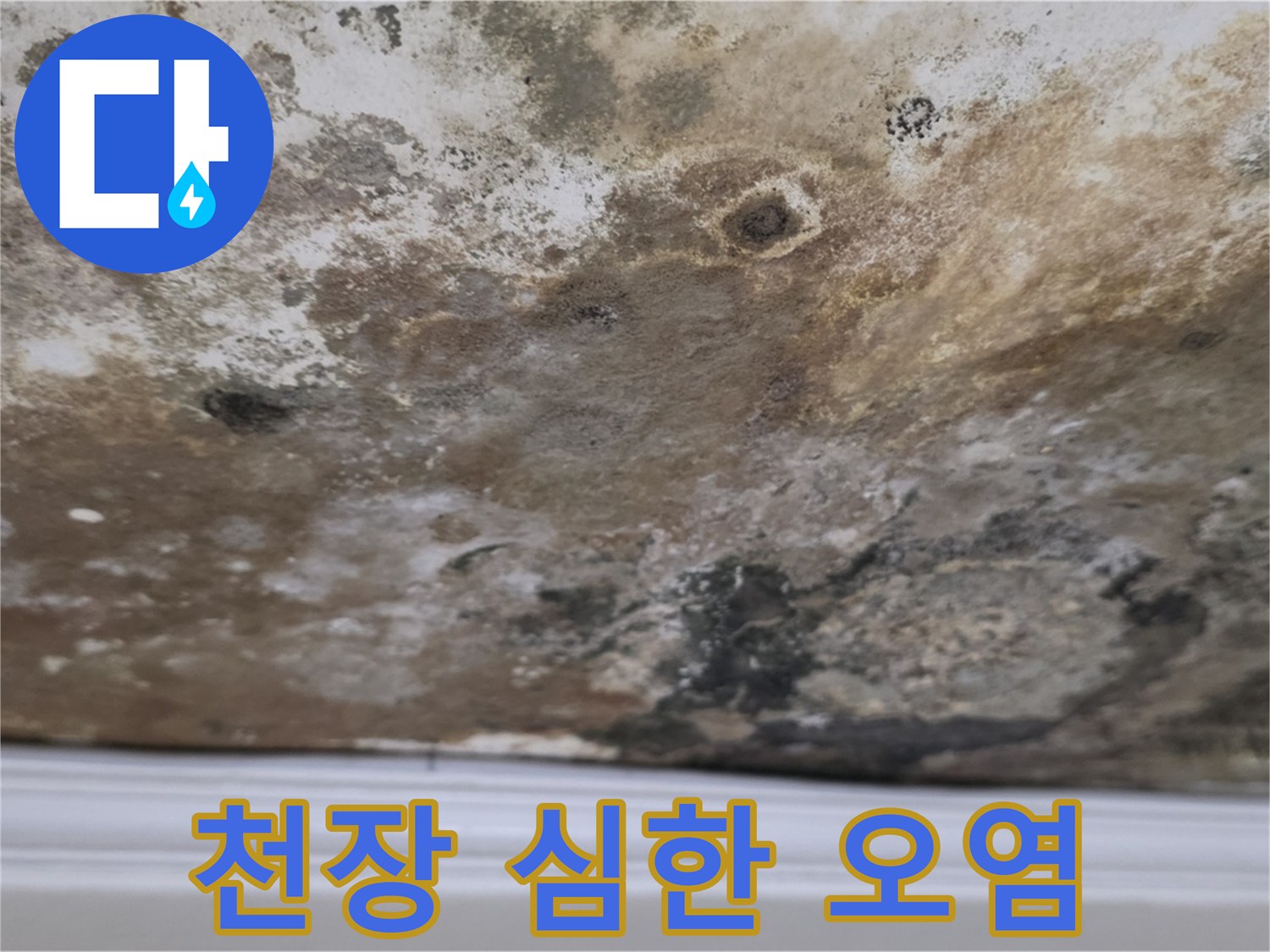 천장 전체가 심하게 오염된 모습 - 누수로 인해 발생한 심각한 천장 오염 상태를 보여줍니다.
