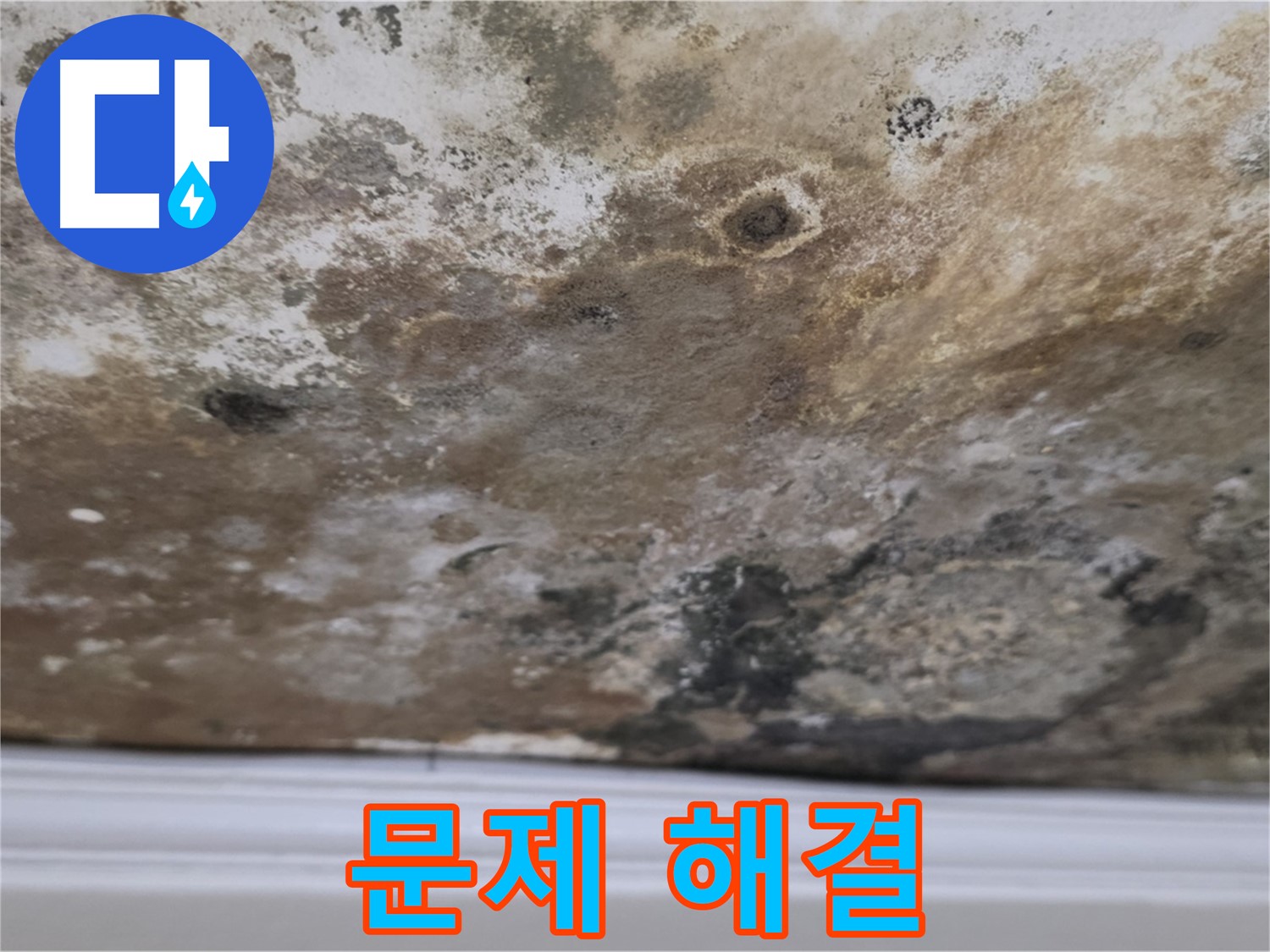 현대홈타운 곰팡이 천장 - 문제 해결 전문가가 해결합니다