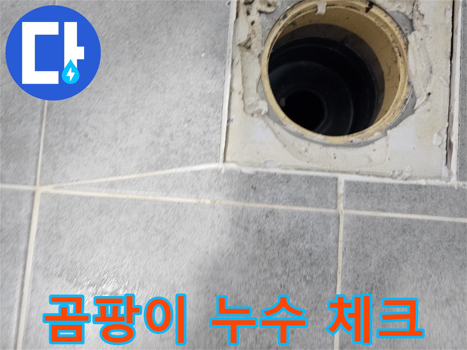 욕실 배수구 주변 곰팡이 - 누수 가능성 체크!