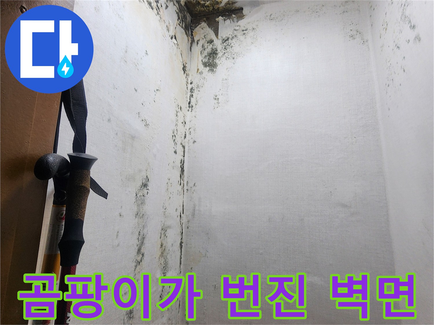 물샘-현상으로-심하게-부식된-벽체-및-곰팡이