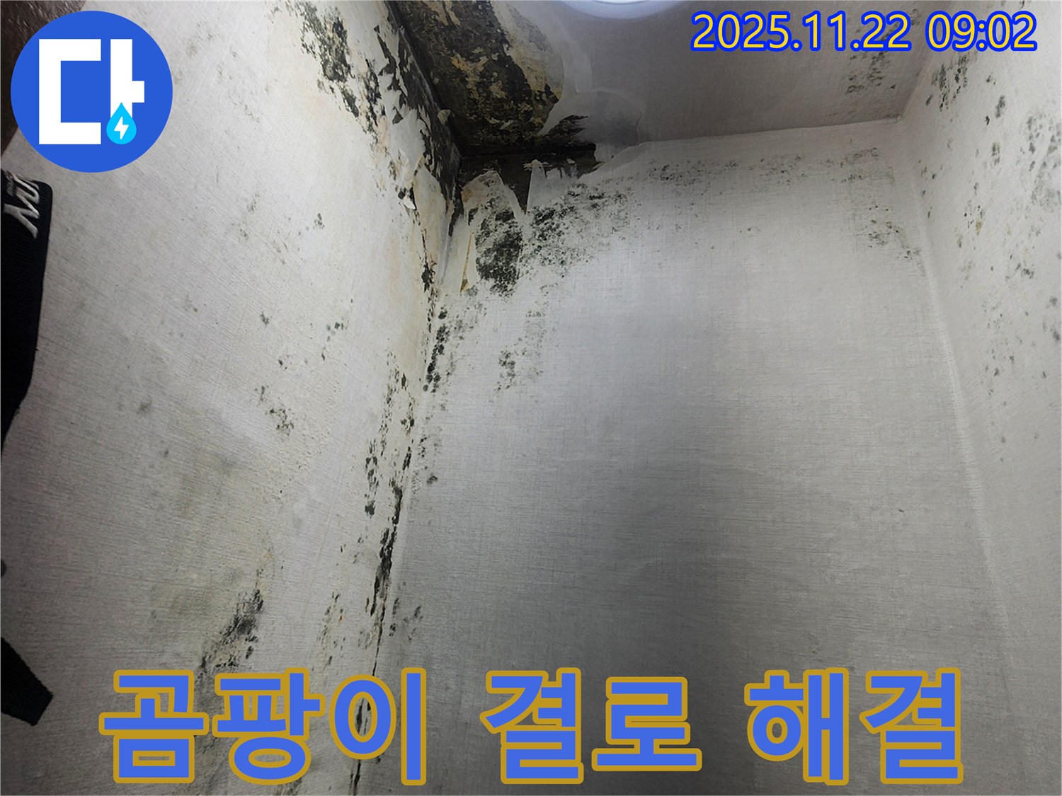 신곡1동 누수 - 곰팡이와 결로 문제를 완벽하게 해결하는 과정