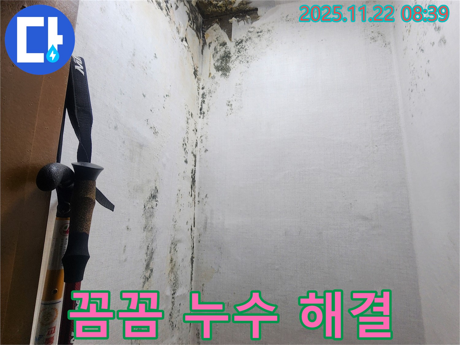 의정부 신곡동 누수 현장 - 곰팡이 발생 원인을 정밀하게 진단하는 과정을 보여주는 이미지입니다.