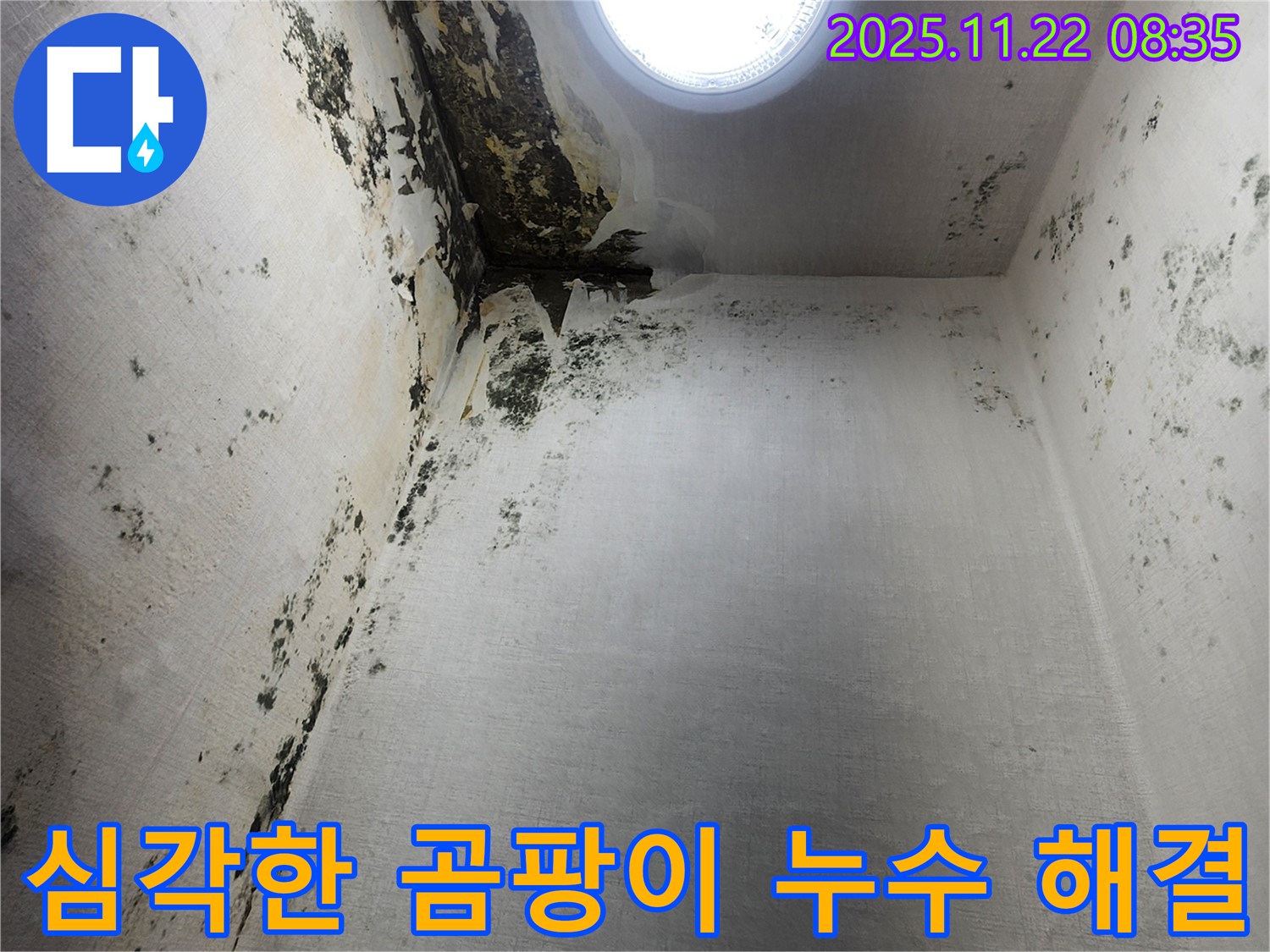 의정부 신곡1동 누수 - 곰팡이 문제 확실하게 해결