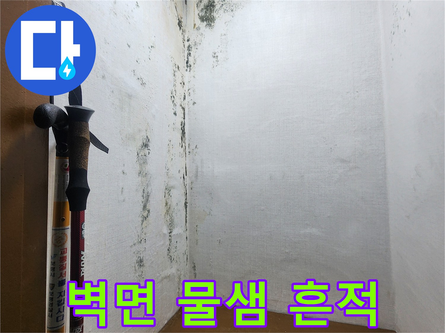 의정부-신곡동-다용도실-곰팡이-및-물샘-현황