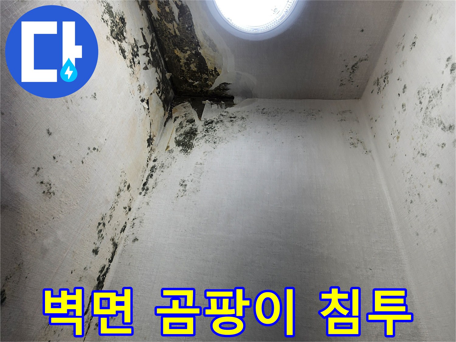 의정부-신곡동-창문-하단-벽면-곰팡이-오염