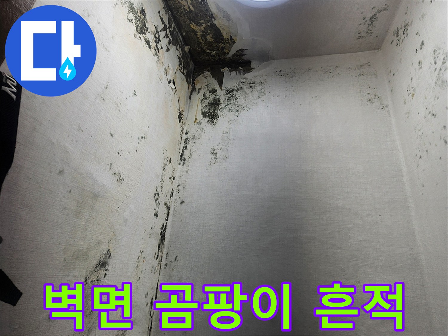 의정부 신곡동 현장-벽면에 번진 검은 곰팡이와 부식된 벽체