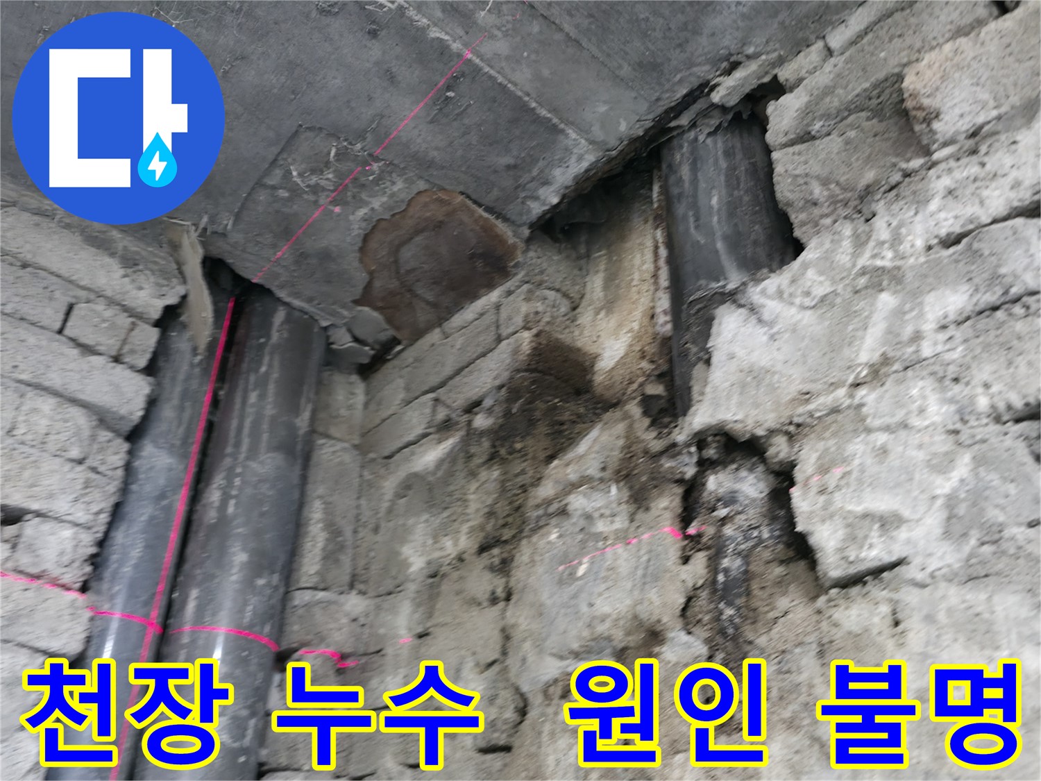 서초구 서초동 건물 누수 - 천장 누수 원인이 배관 문제인지 결로 현상인지 파악하는 모습입니다.