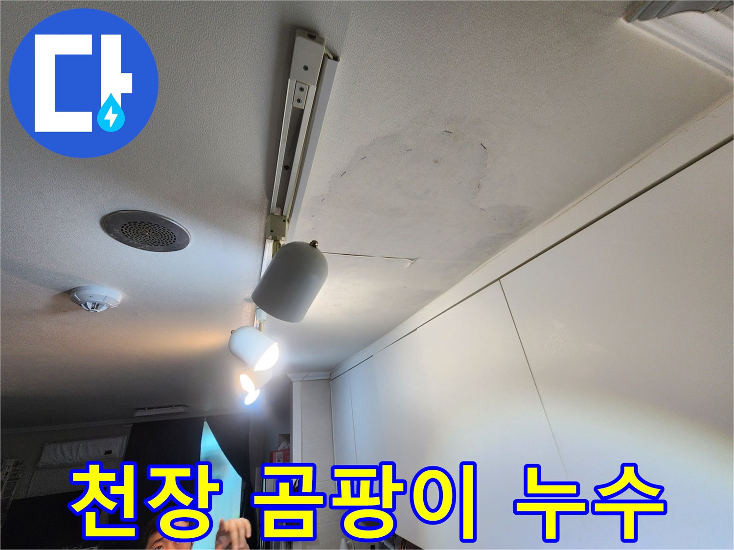 공릉2단지 아파트 누수 - 천장 곰팡이 건강 위협 - 곰팡이 제거 시급
