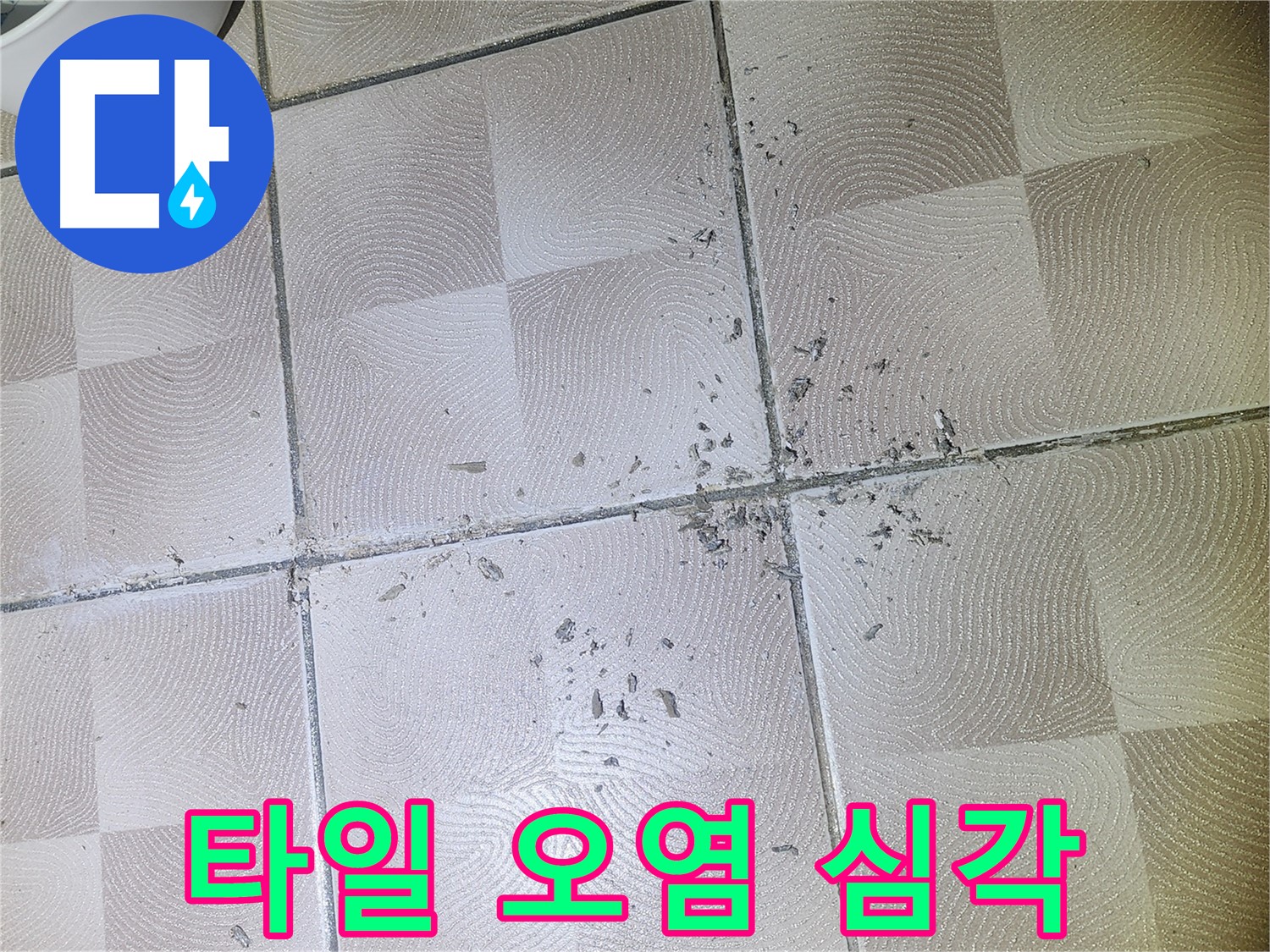 광교 센트럴타운로 누수 - 욕실 바닥 타일 틈새 백시멘트 손실 및 오염 상태 심각
