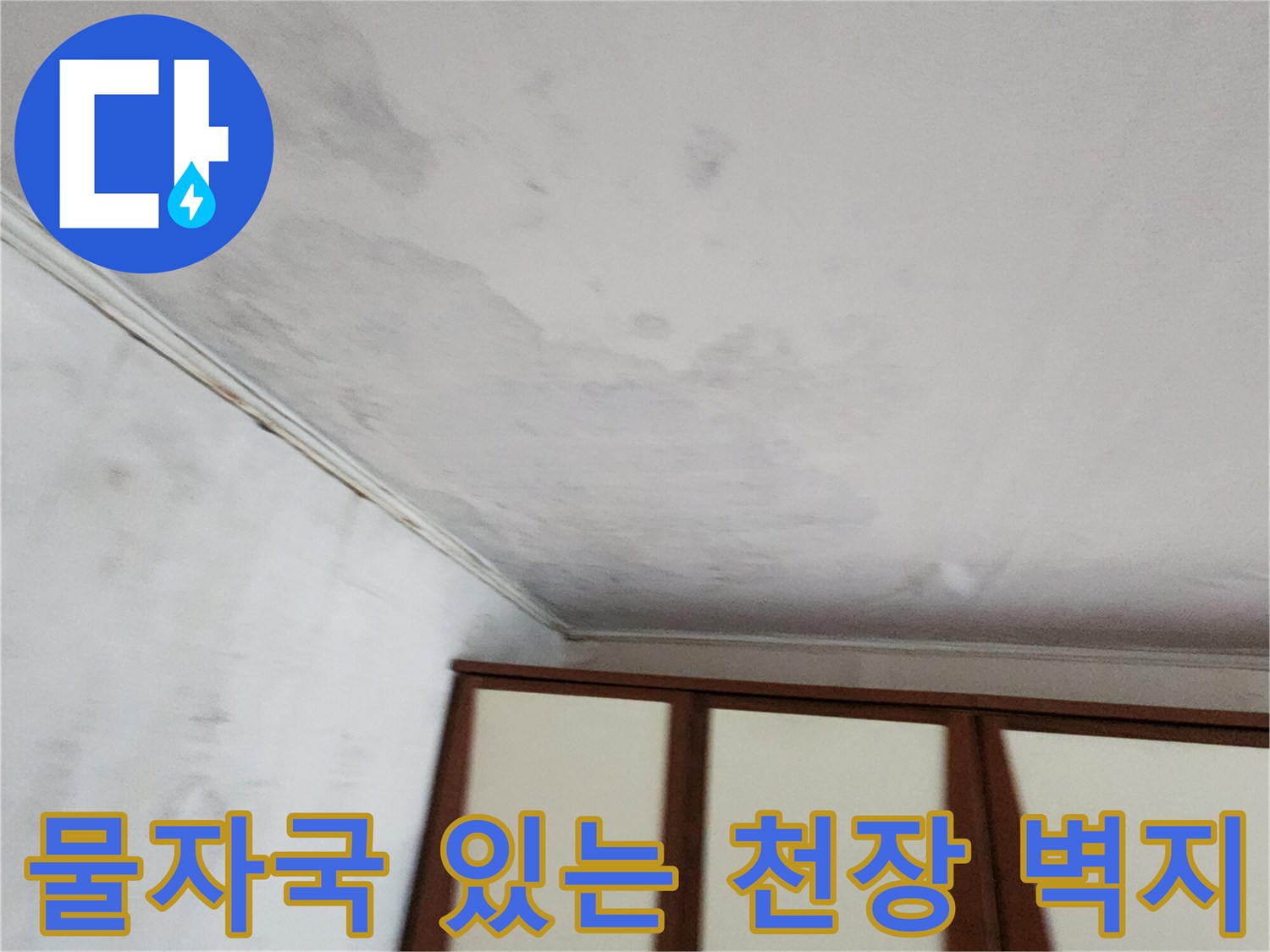 가산면 현장에서 확인한-천장 벽지의 습기 및 얼룩