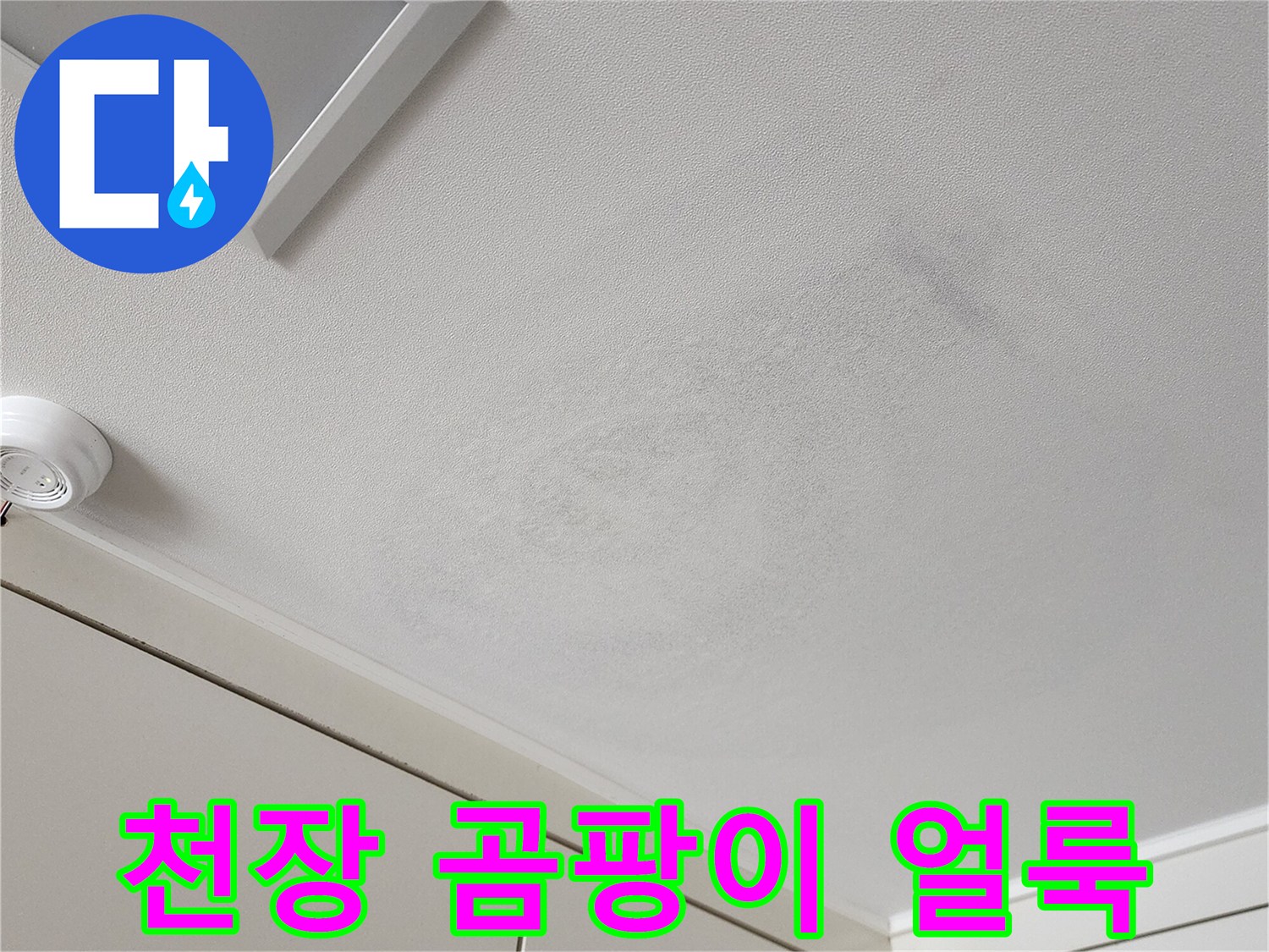 벽면 상단에 발생한 곰팡이와 습기 흔적 사진
