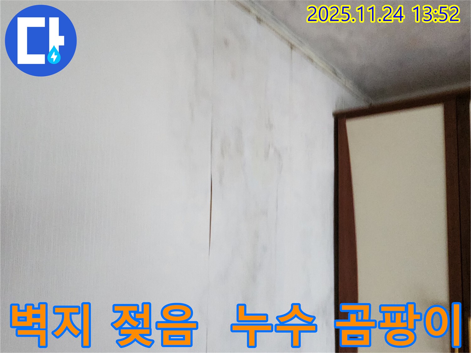 벽지 젖음과 곰팡이 발생 - 포천시 마전리 누수 현장, 전문 업체가 정확한 진단과 해결책을 제시