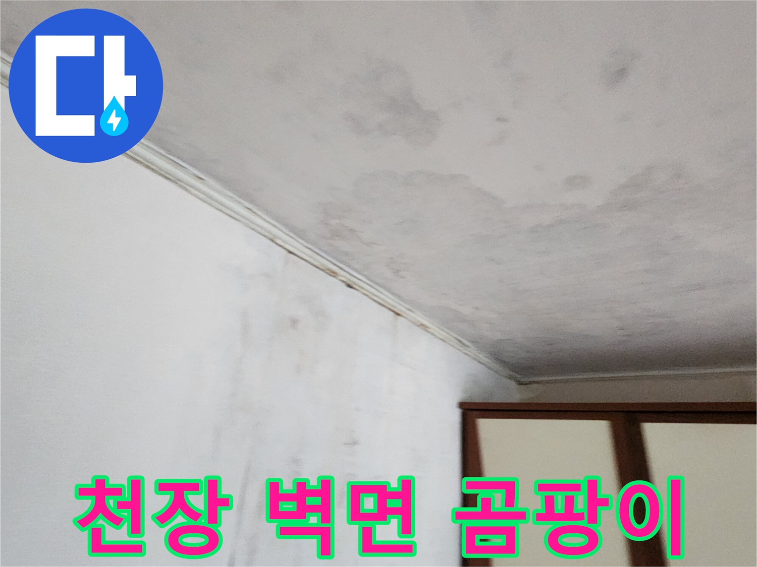 천장-경계부의-심각한-곰팡이와-얼룩-현상
