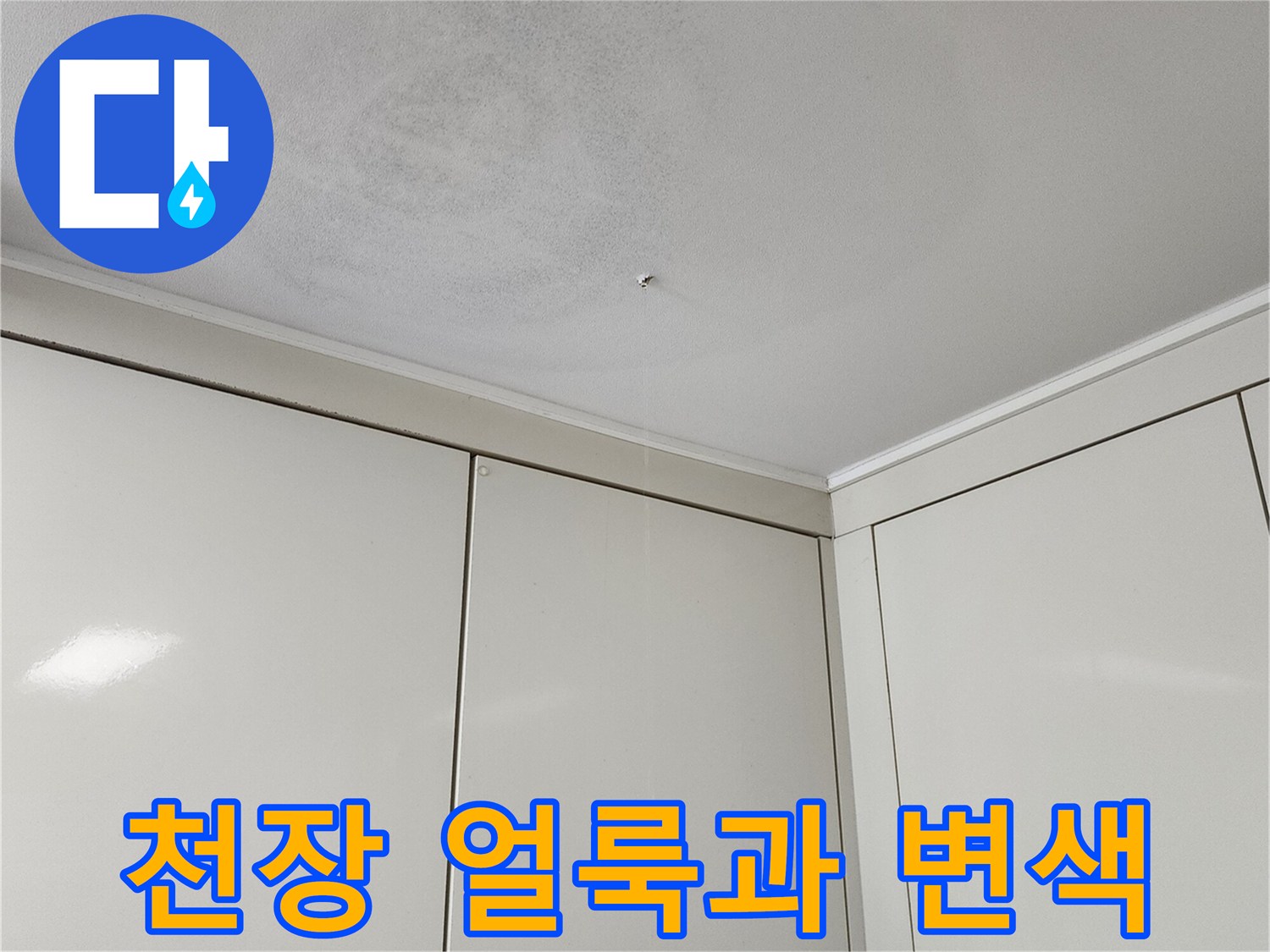 천장 벽지가 젖어 생긴 넓은 얼룩과 곰팡이 흔적