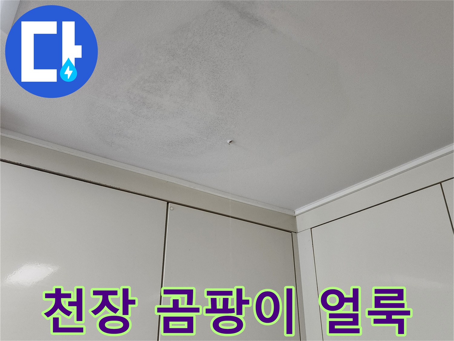 천장 벽지에 퍼진 곰팡이와 습기 흔적