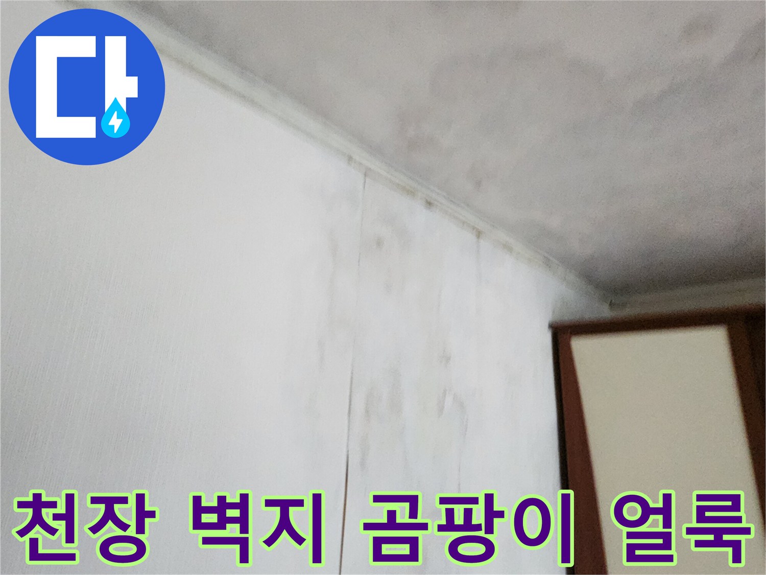 포천 가산면 현장-천장 벽지 곰팡이와 습기로 인한 얼룩 상태