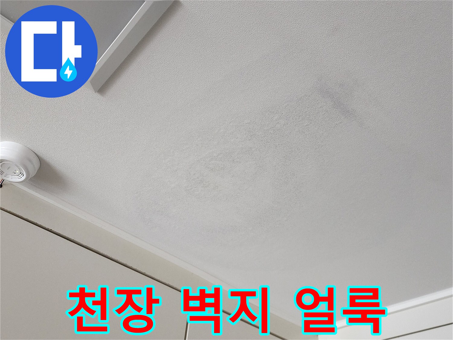 포천 가산면 현장의 천장 벽지 변색 및 얼룩 상태