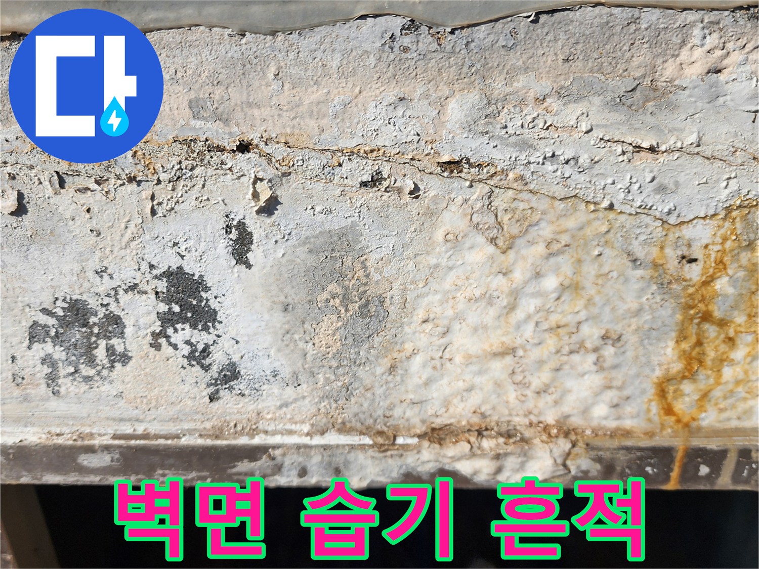 습기로-오염된-시멘트-벽면-상태