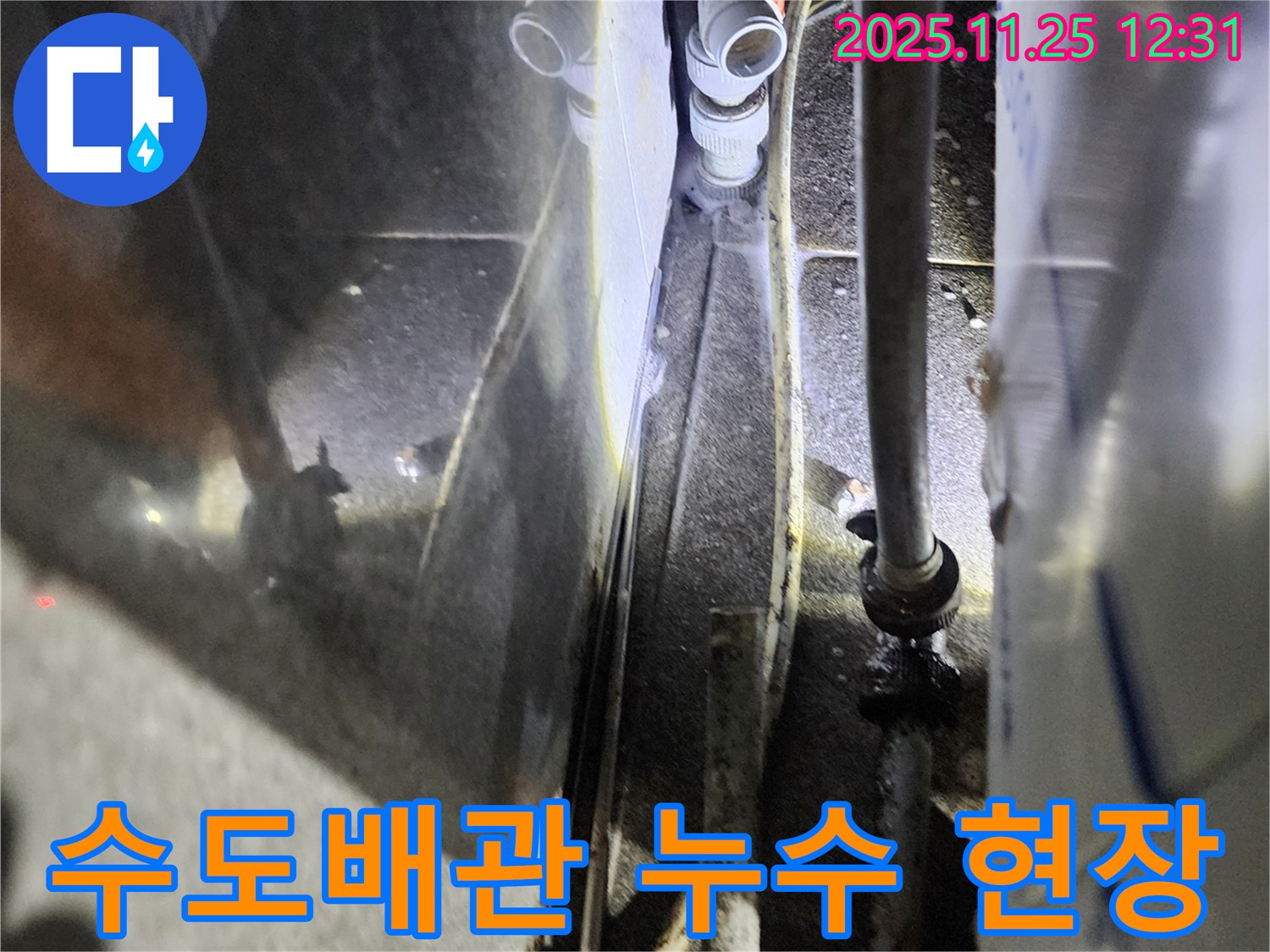 포천시 신북면 수도배관 누수 현장 - 누수탐지 전문 업체에서 정확한 진단과 신속한 해결을 제공합니다.