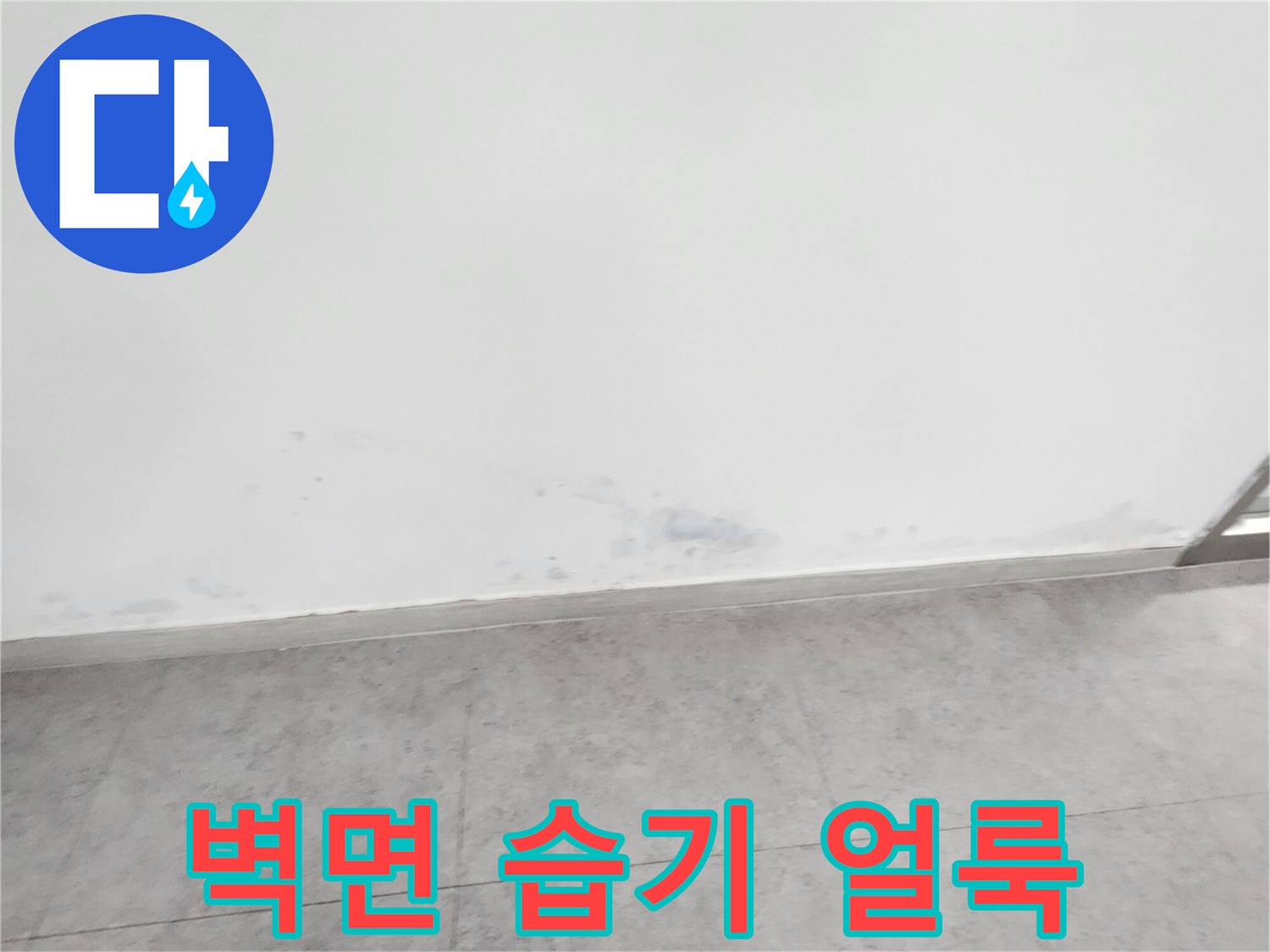습기로-어둡게-변한-벽면-하단-부분의-근접-사진