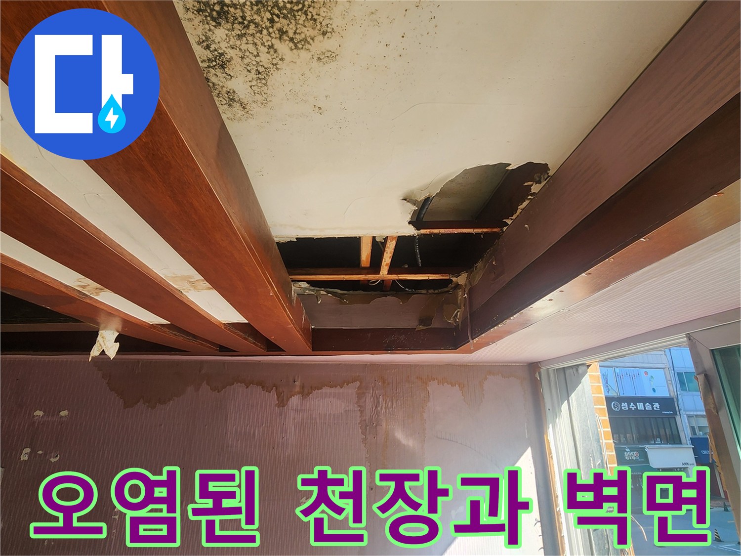 곰팡이로 오염된 천장 마감재와 젖은 벽지 상태
