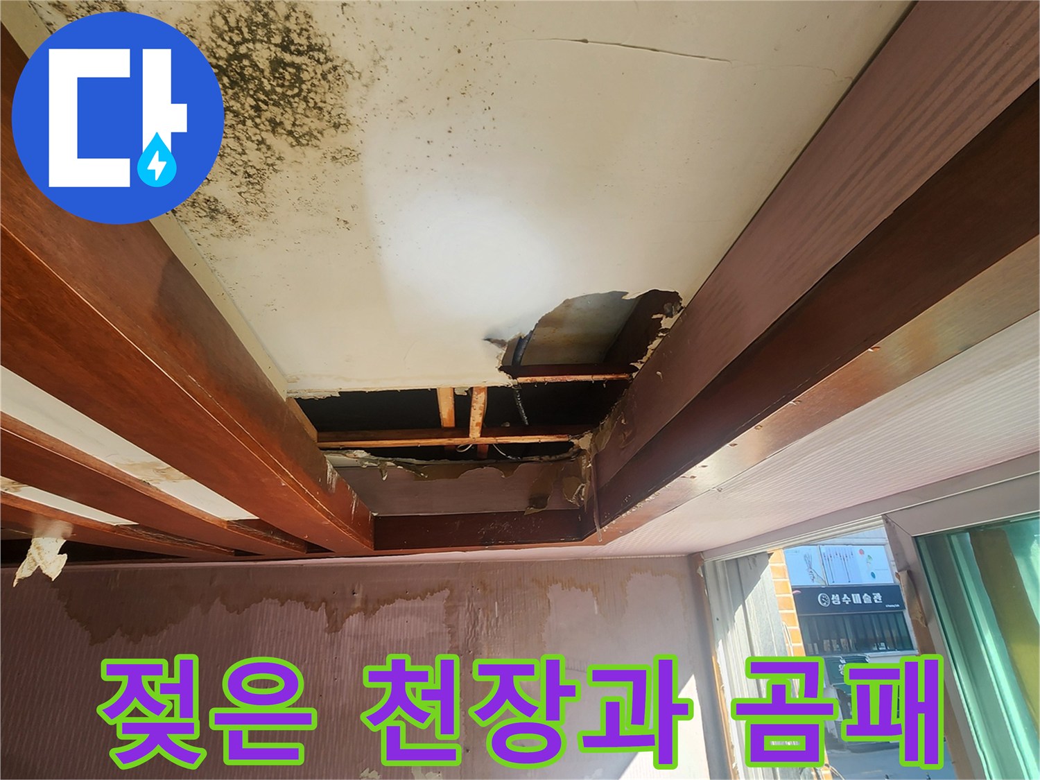 습기로 인해 얼룩지고 - 곰팡이가 발생한 천장 면적