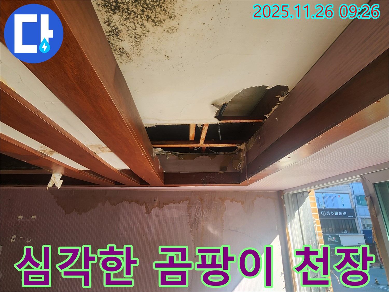 포천시 신북면에서 발생한 심각한 천장 누수 현장 - 곰팡이와 내려앉은 천장 상태를 보여줍니다.