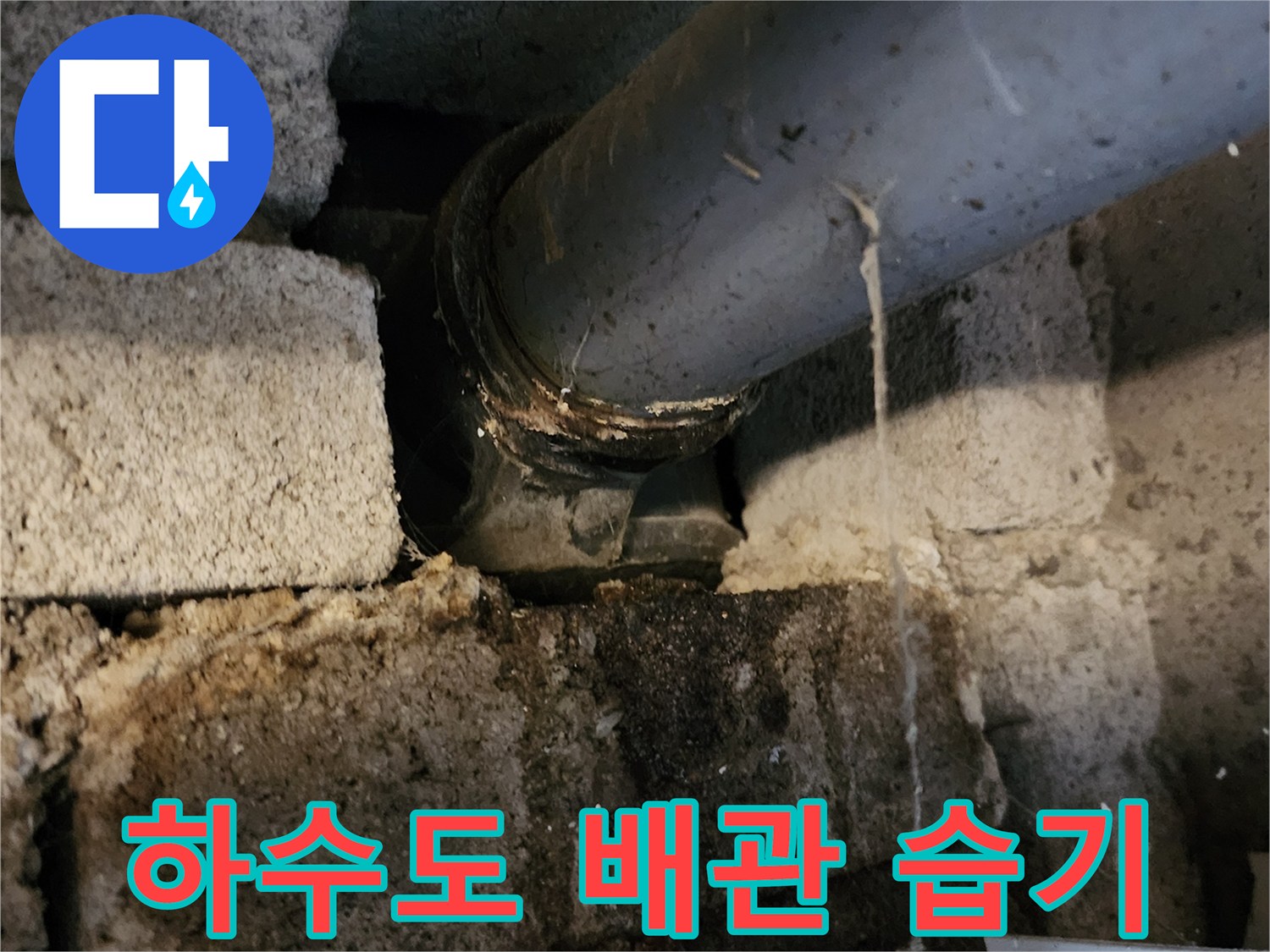 욕실 천장 내부-배수 트랩 주변의 젖은 배관 상태