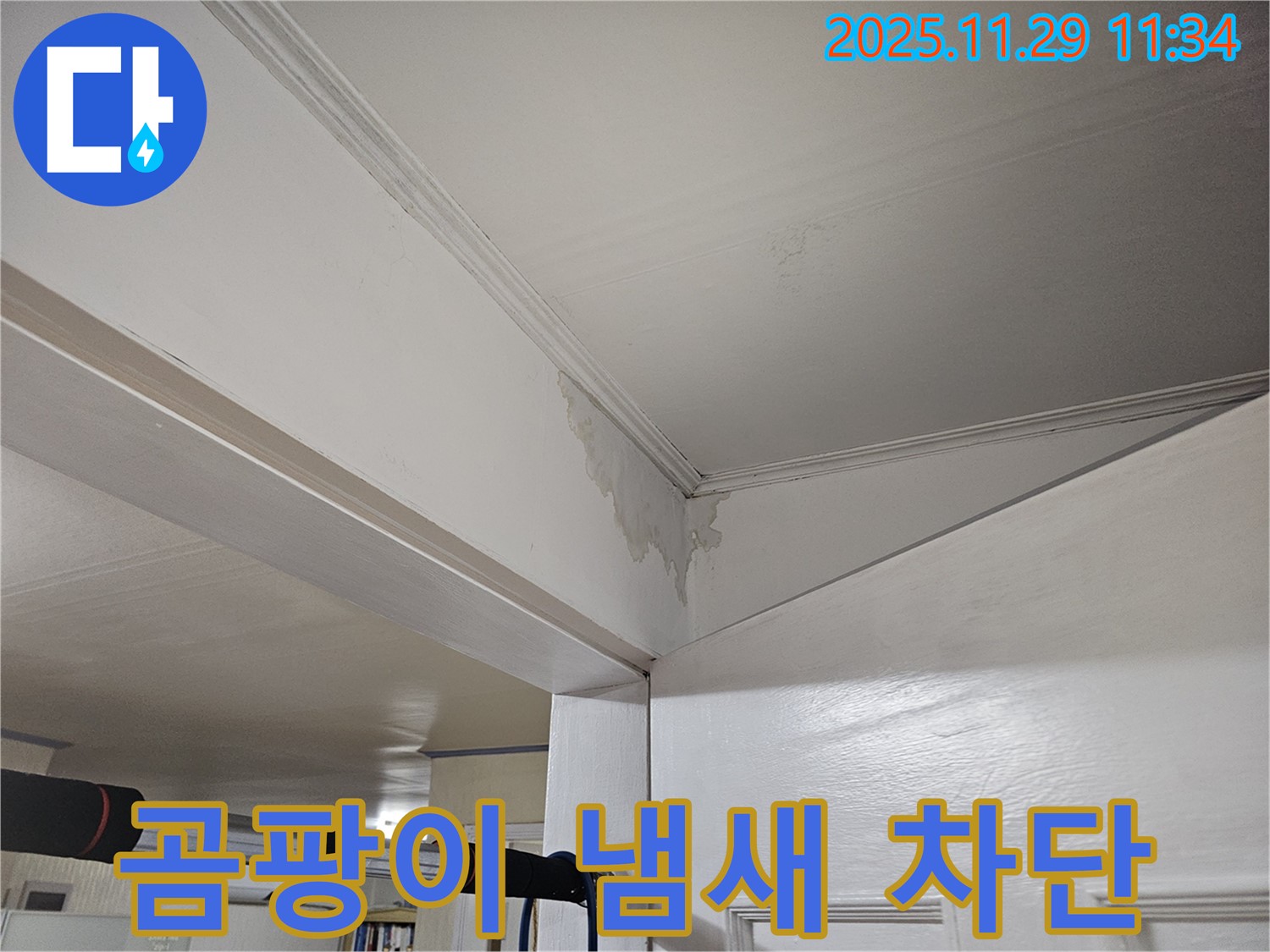 파주 광탄 누수 - 곰팡이 냄새 진동, 완벽 차단 & 상쾌한 공간으로 변신!
