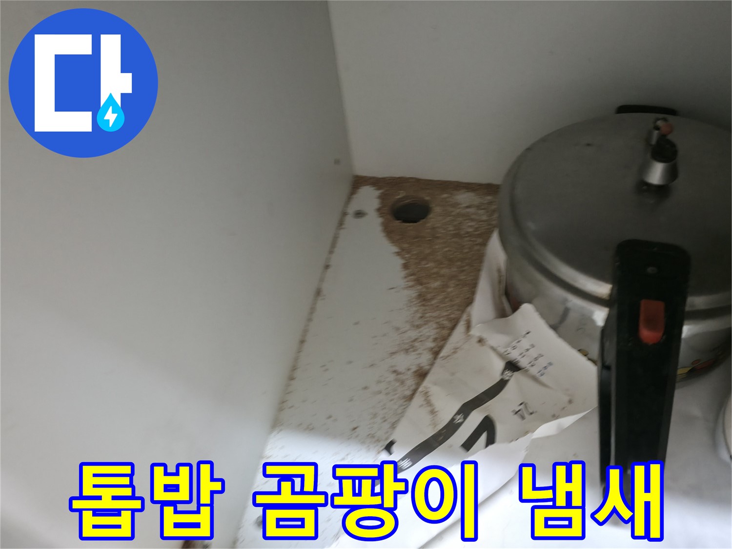 싱크대 밑 - 톱밥 - 재산 가치 하락 - 서둘러 해결하세요