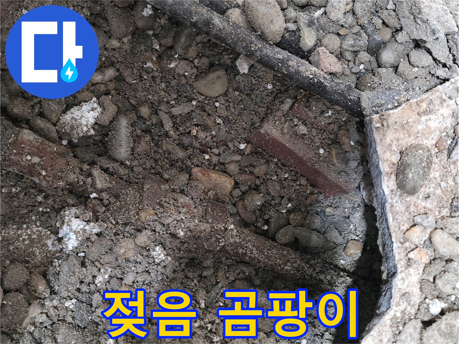 서초구 명달로4길 누수 현장 - 바닥 젖음과 곰팡이가 함께 발생한 모습 - 서초 누수 원인 해결 전문 업체가 나섭니다.