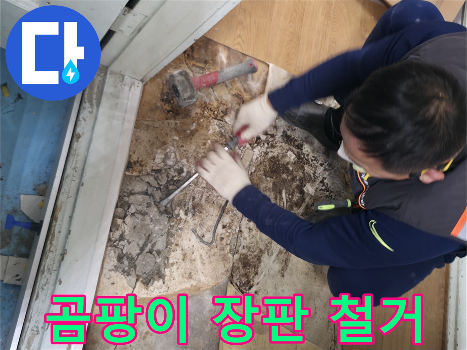 서초구 서초2동 누수 - 곰팡이 장판 밑 바닥 철거