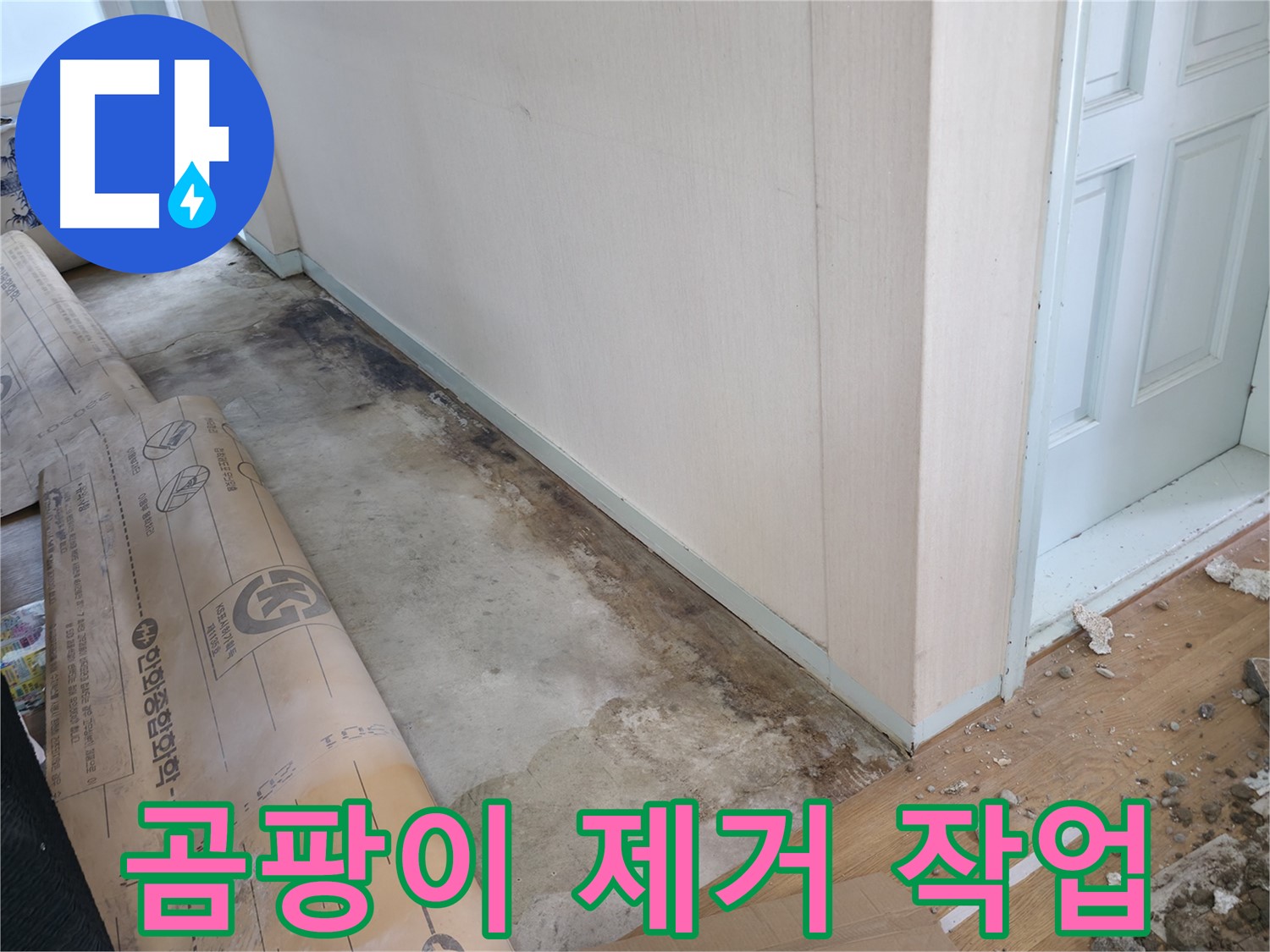 서초구 서초2동 누수 현장 - 곰팡이 제거 작업을 통해 쾌적한 환경으로 만듭니다.