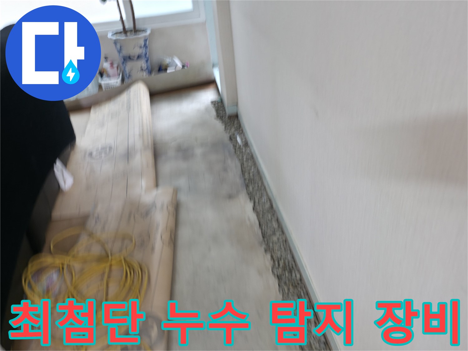 서초구 서초2동 곰팡이 핀 벽 완벽 해결 - 쾌적한 공간에서 힐링하세요!