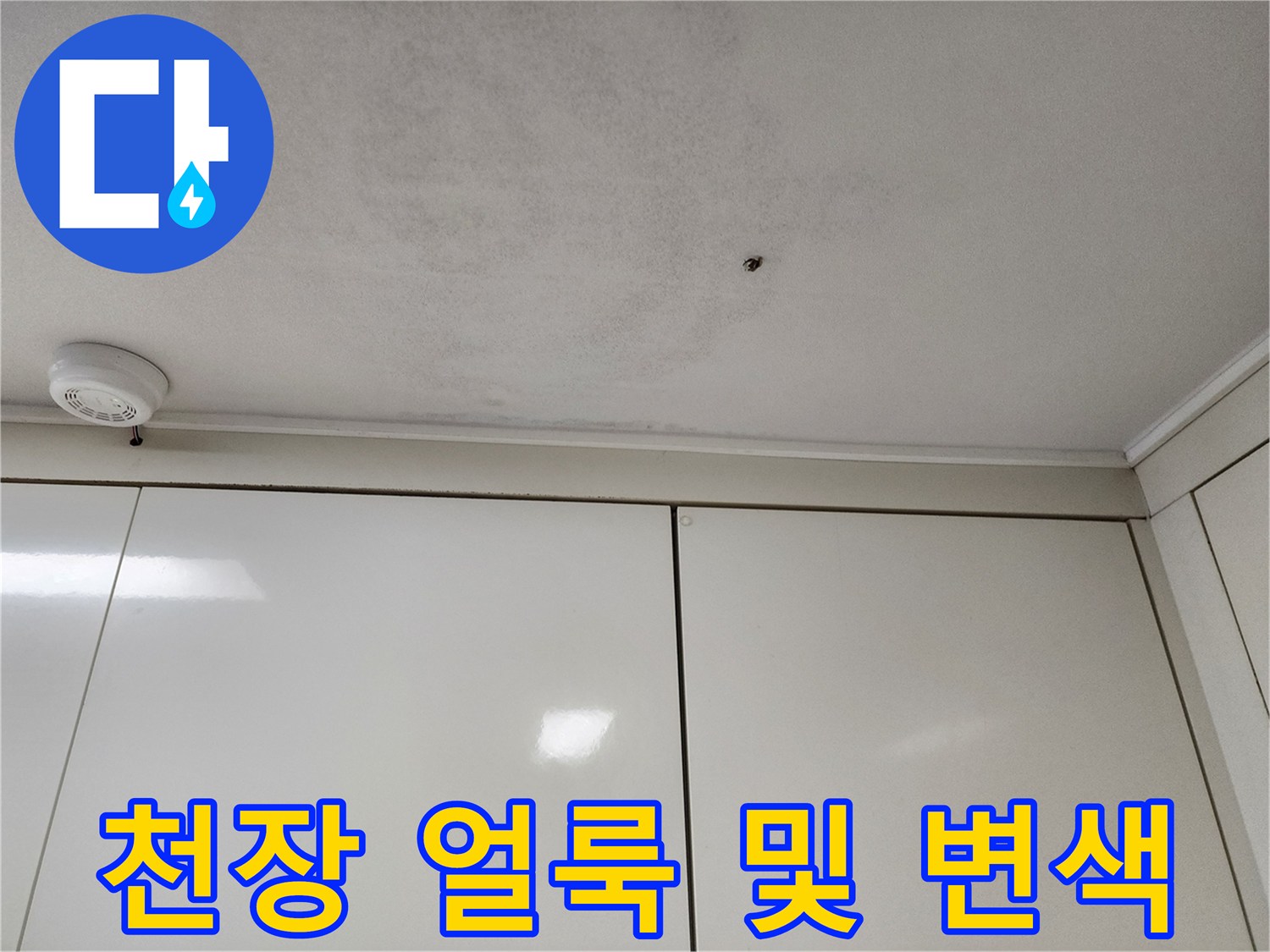 습기로 인해 어둡게 오염된 천장 부위
