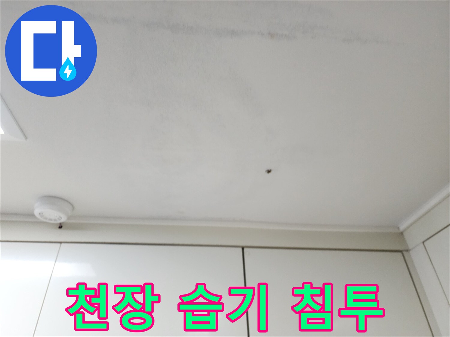 천장 마감재에 발생한 불규칙하고 어두운 얼룩 모양