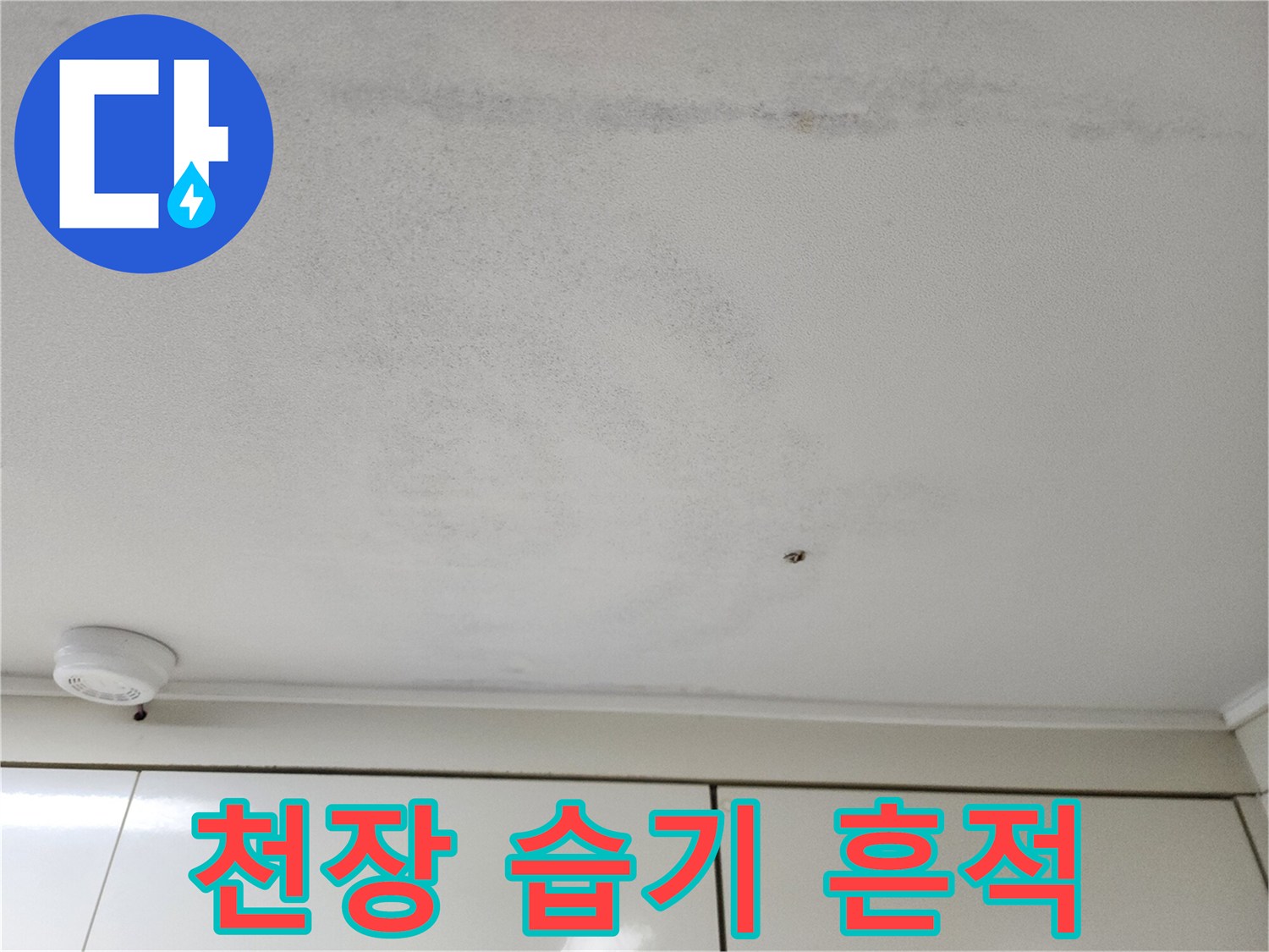 천장 면에 나타난 불규칙한 모양의 습기 얼룩