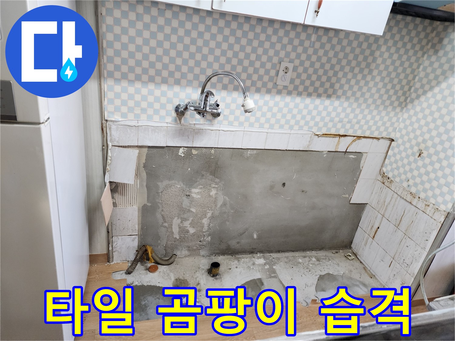 공릉동 싱크대 누수 - 타일 뒤 곰팡이 습격, 원인은 노후 배관